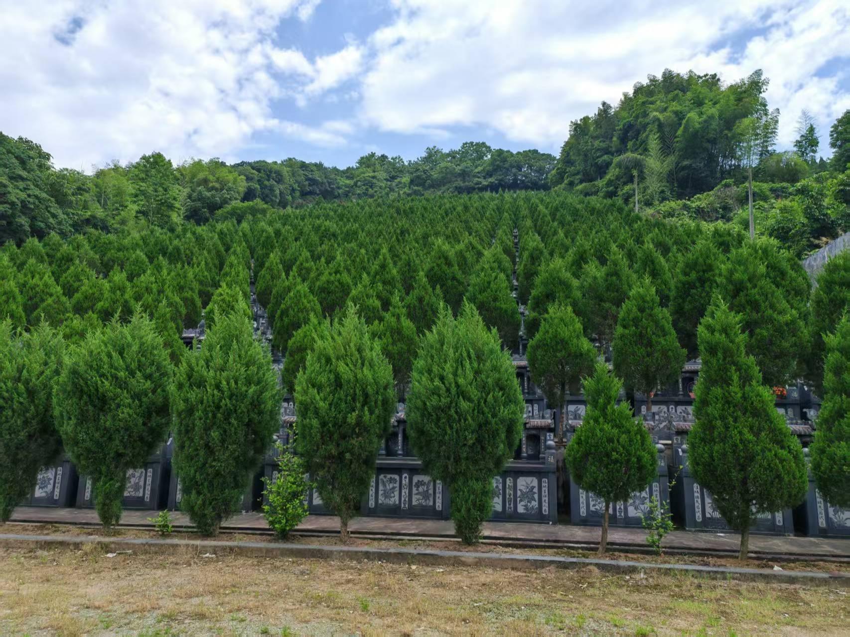 灵溪镇大亭公益性公墓园区图片