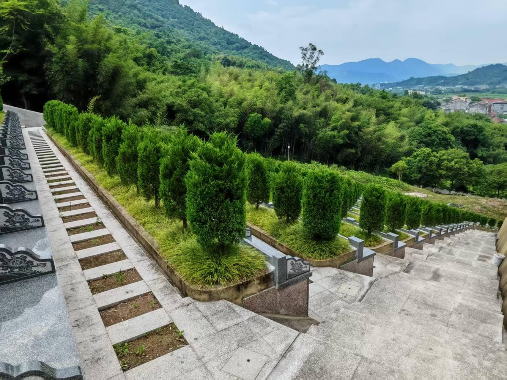 灵溪镇浦亭乡公益性公墓园区图片