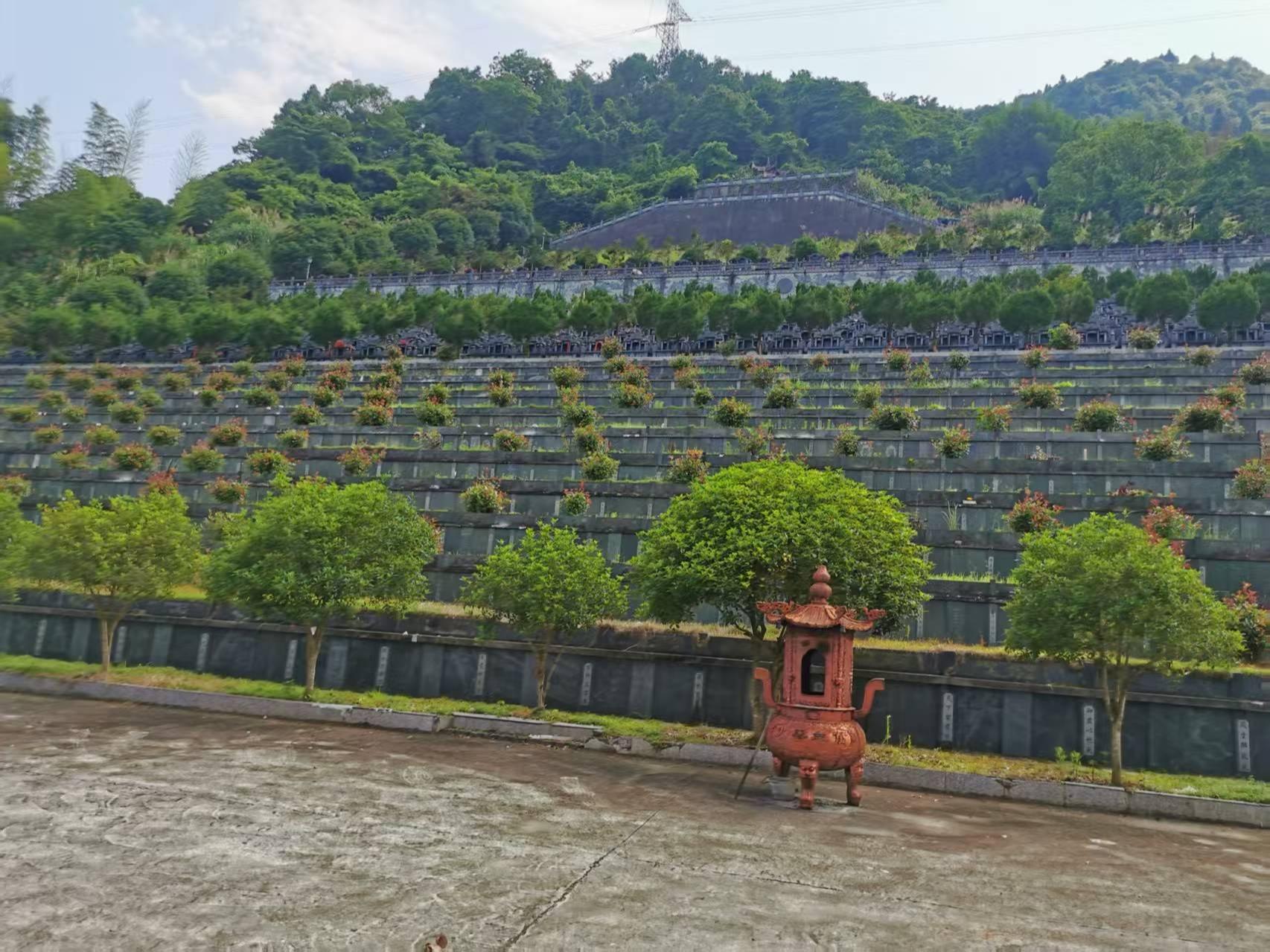 平阳县腾蛟镇塘溪村公益性墓地园区图片