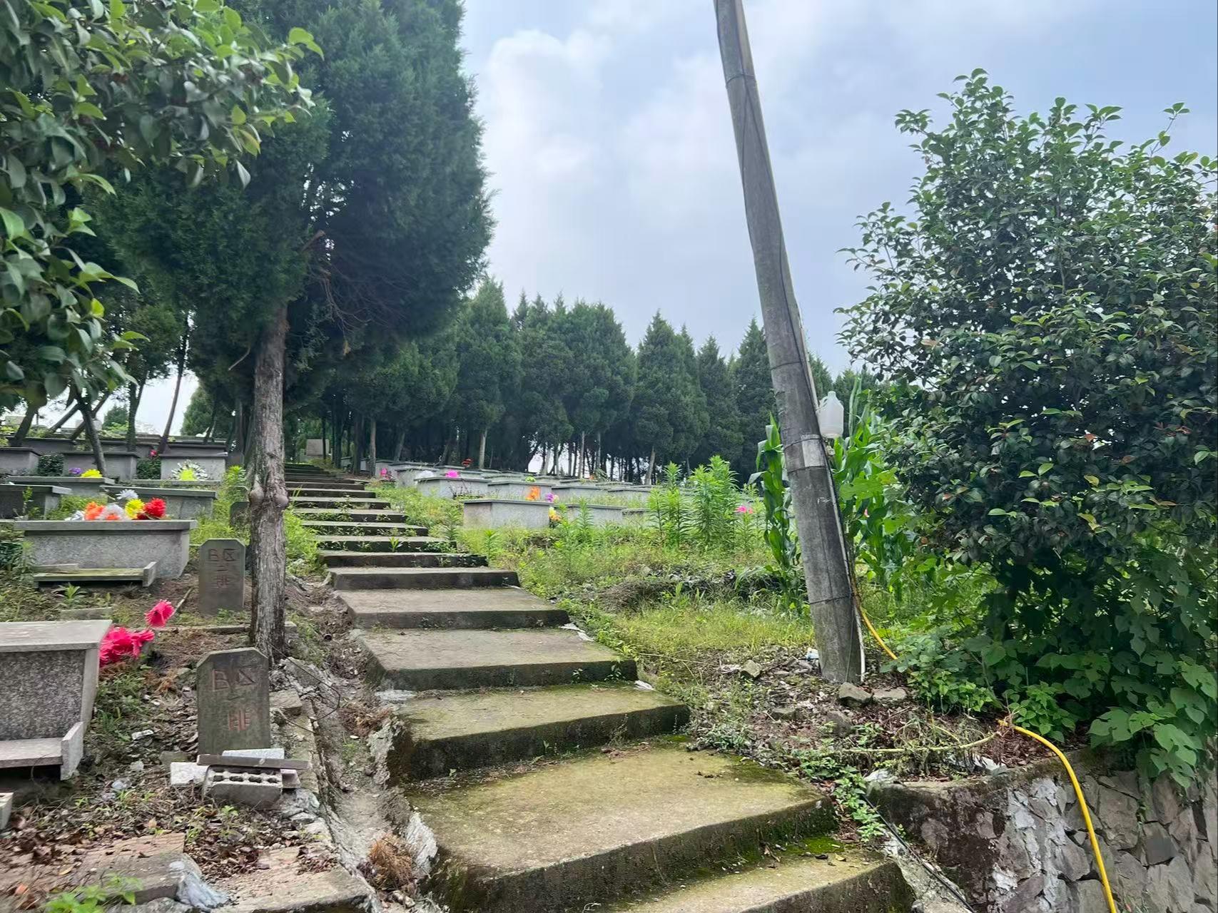 宁波市海曙区古林镇三星生态墓园园区图片