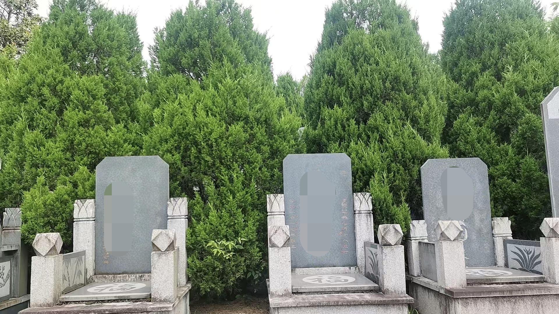 雅璜公墓园区图片
