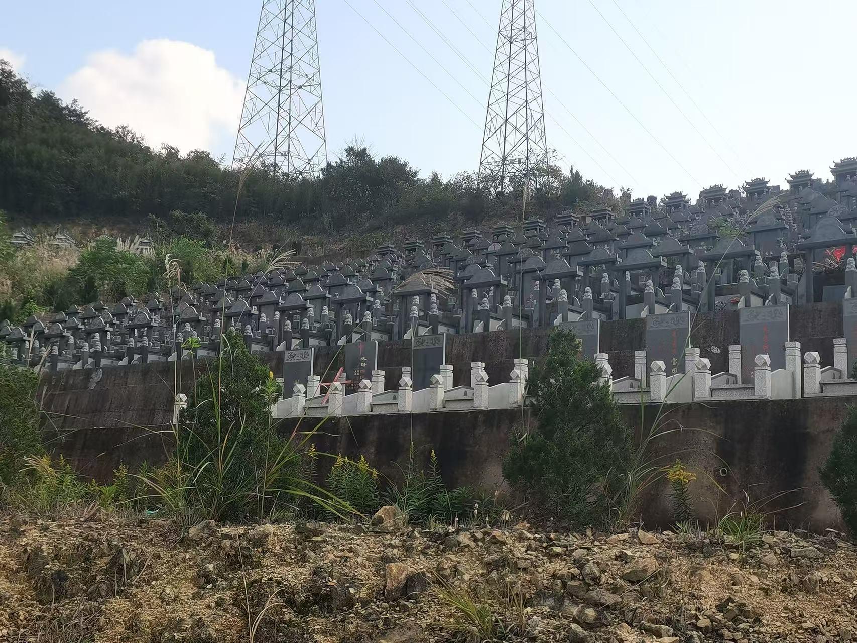 长桥一村公墓园区图片