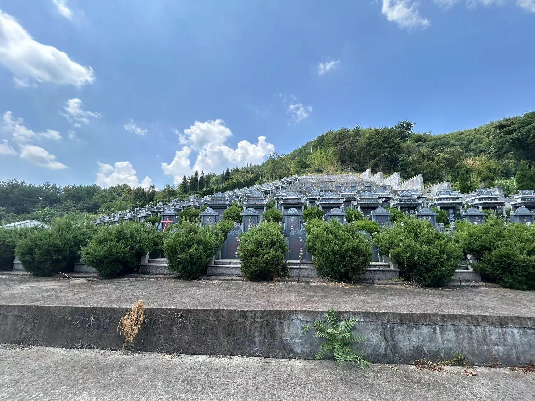 袁岭村公墓园区图片