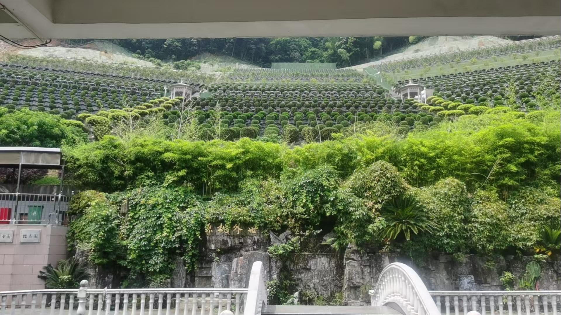 龙鹤山生态墓地园区图片