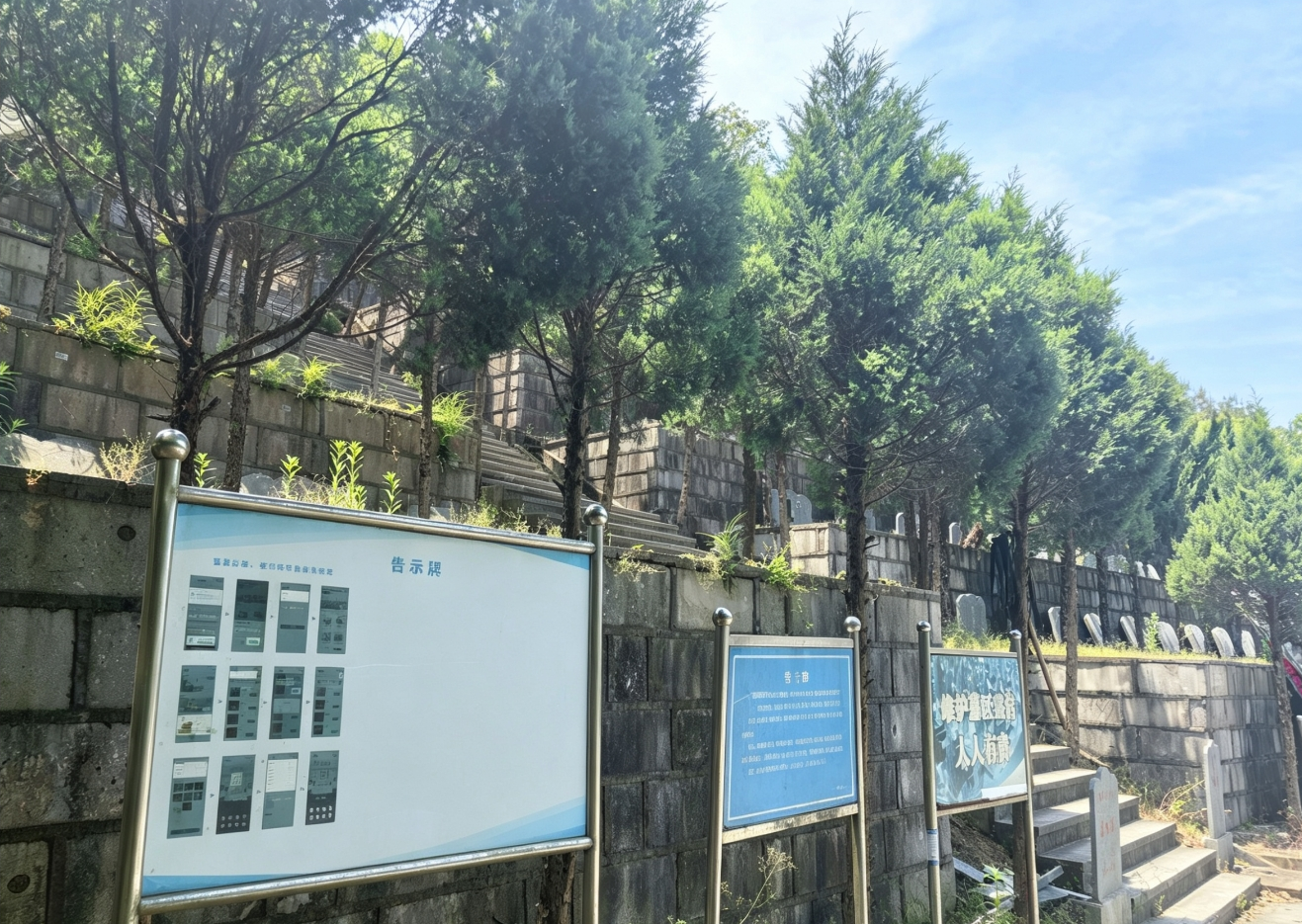 陶朱街道小洋山公墓园区图片