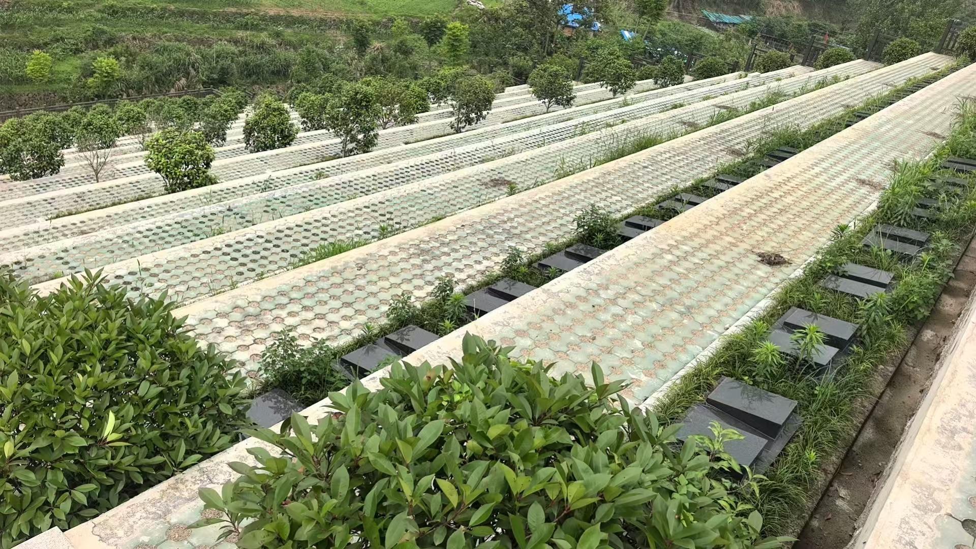 桐庐县凤川街道翙岗村街道级公墓园区图片