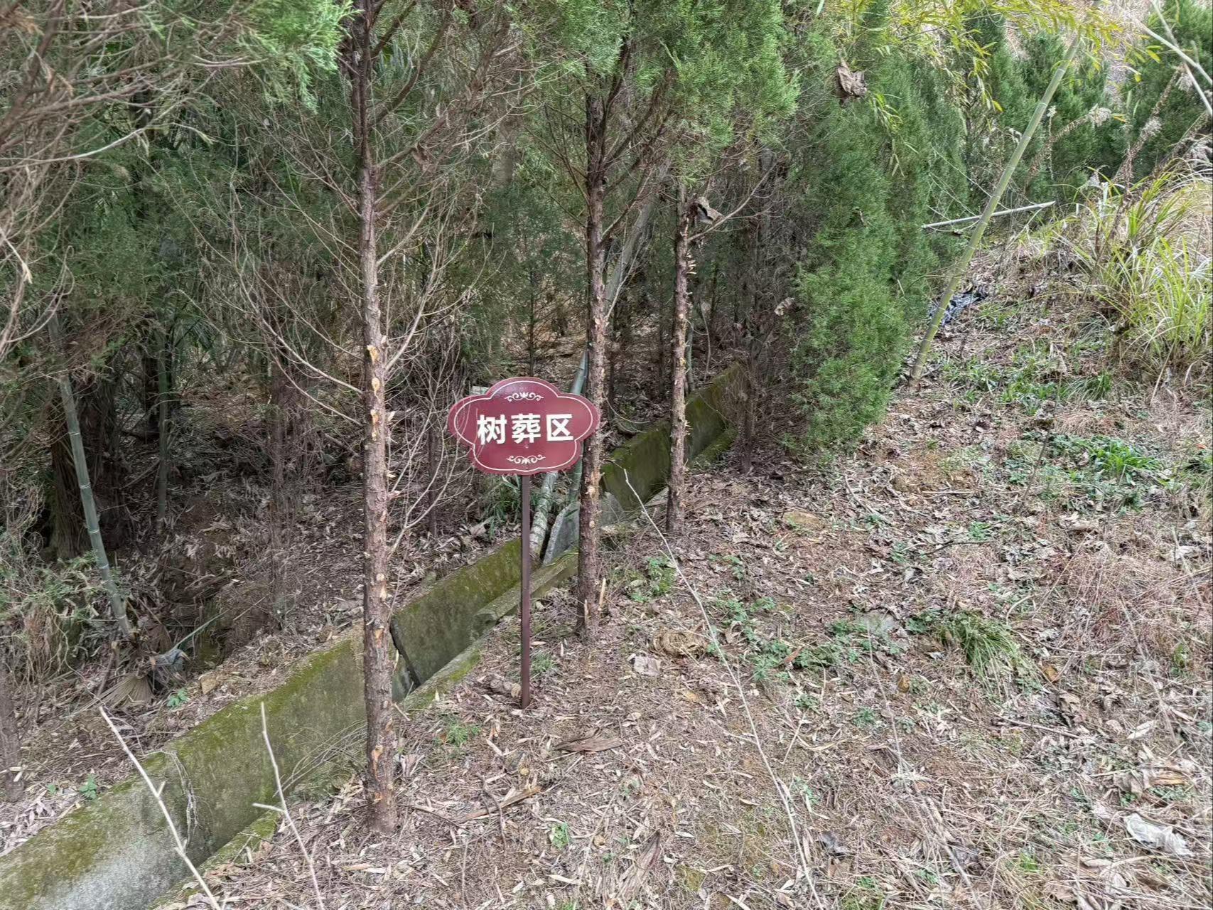 诸暨市山下湖镇泌湖村大宣生态公墓园区图片
