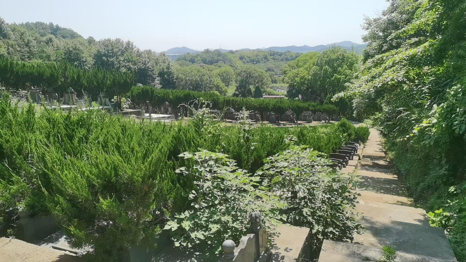 皋埠凤凰山公墓园区图片