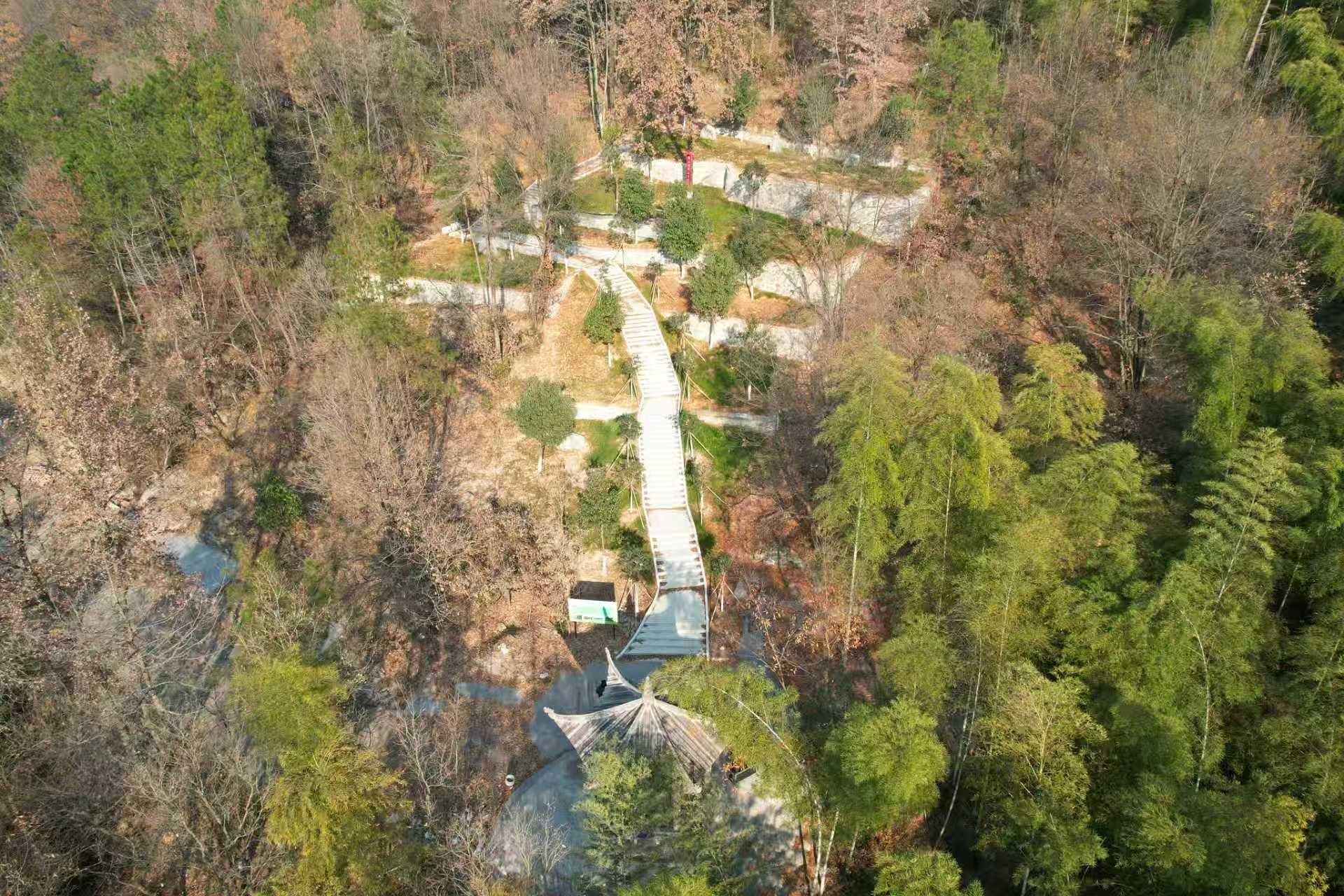 东阳市画水镇镇级节地生态公墓树葬区园区图片