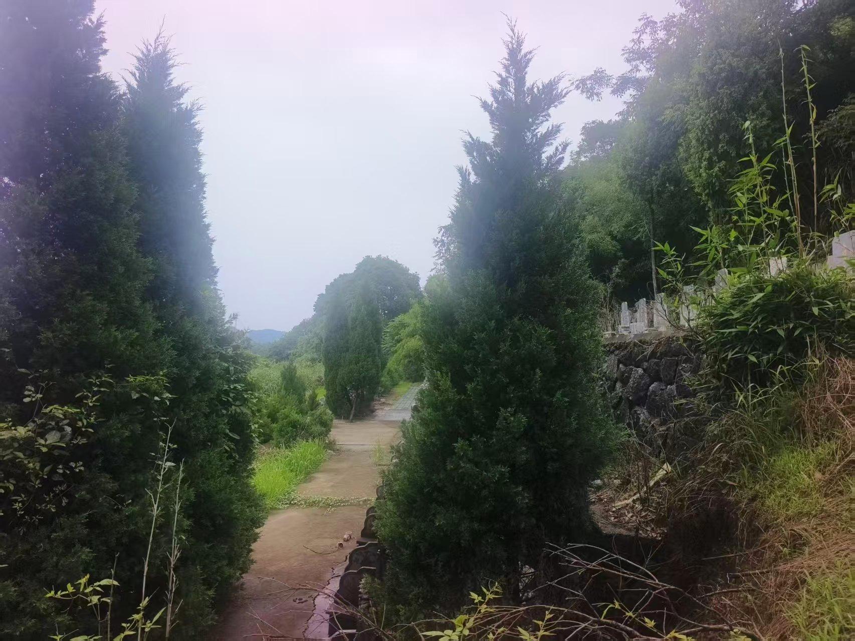 美女山公墓园区图片