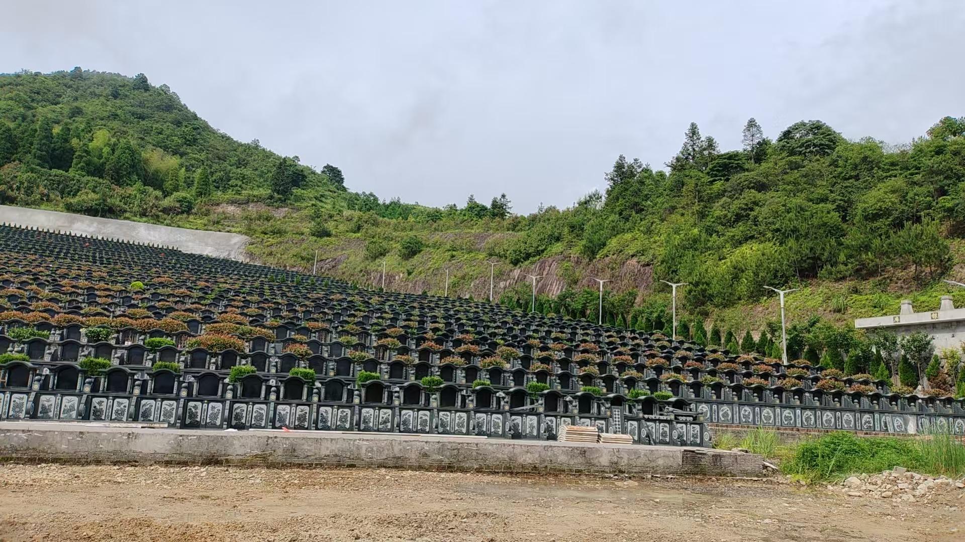 泰顺县彭溪镇莲花山公墓园区图片