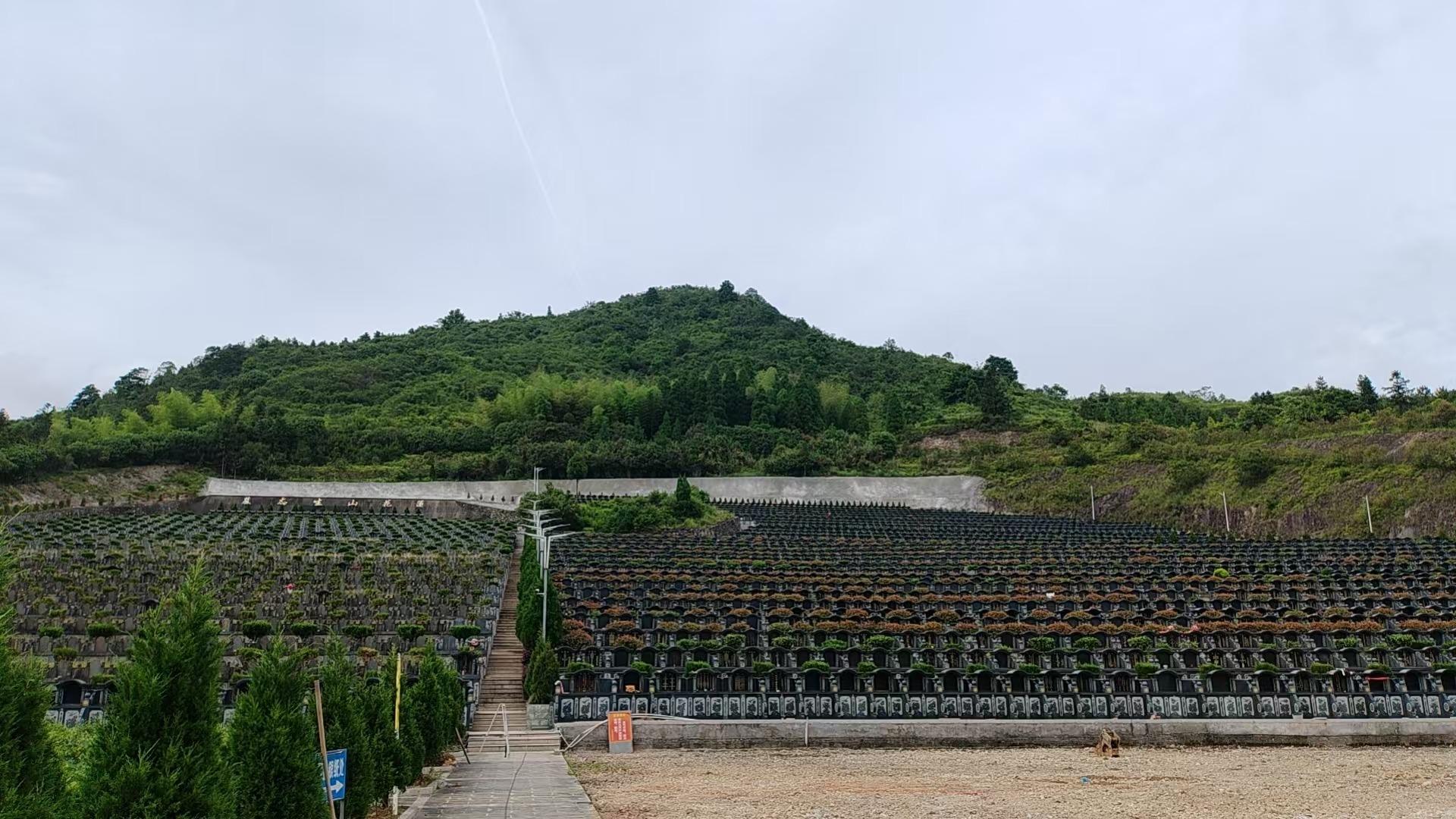 泰顺县彭溪镇莲花山公墓园区图片