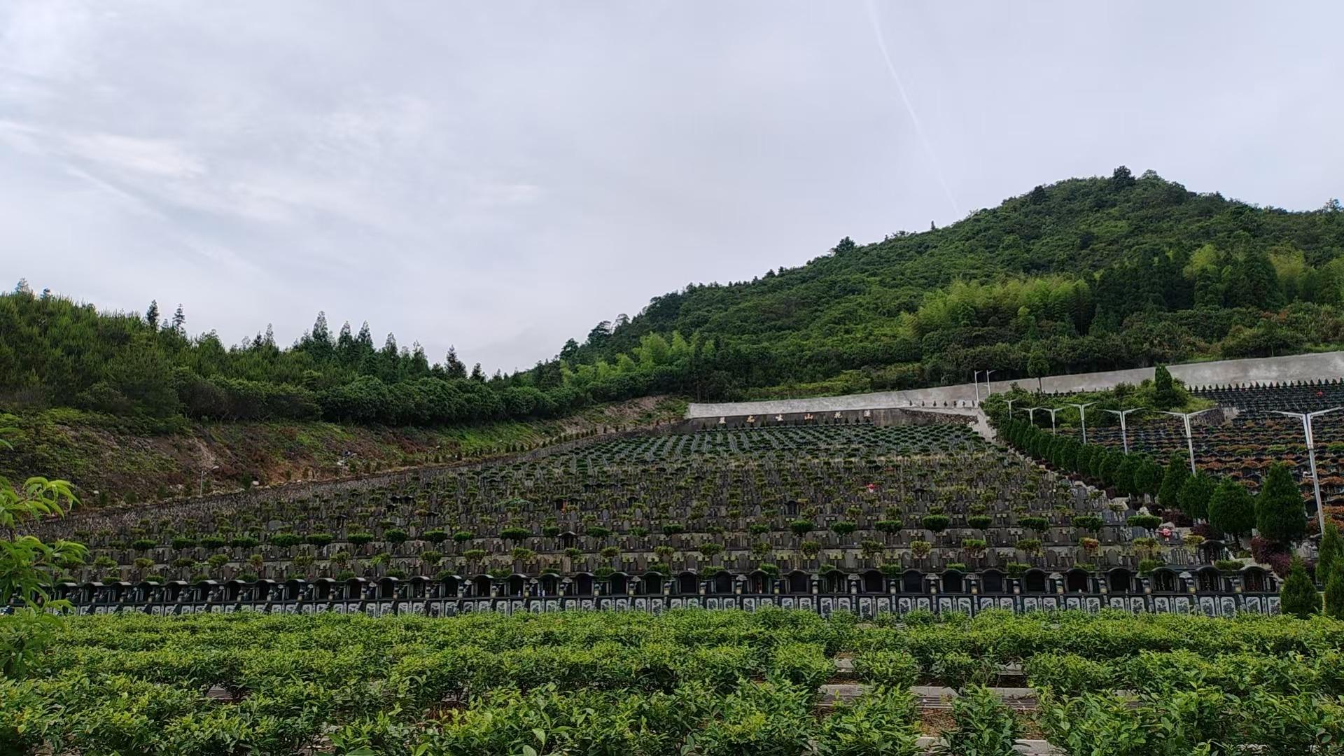 泰顺县彭溪镇莲花山公墓园区图片