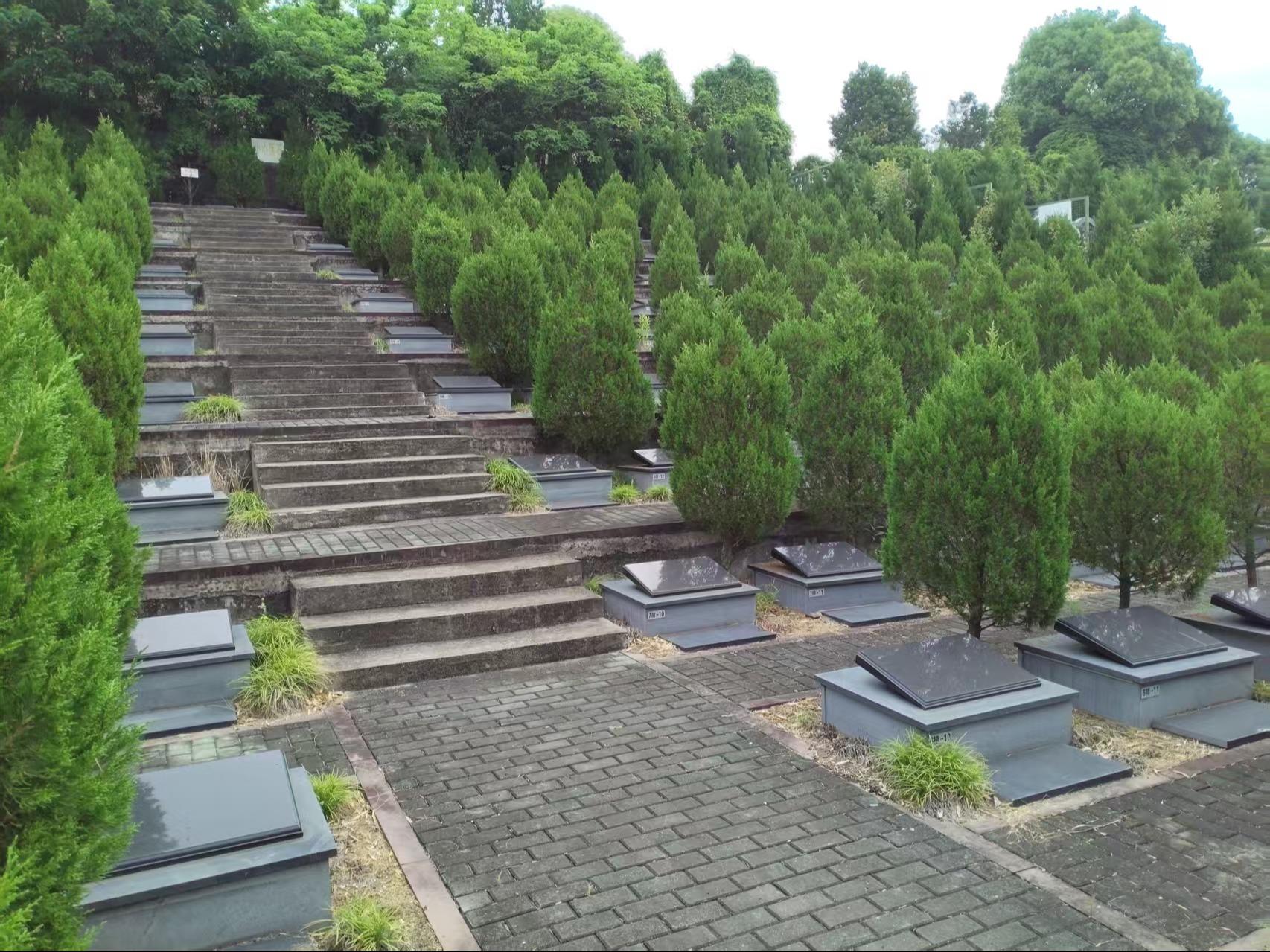 龙皇堂公益性墓园园区图片