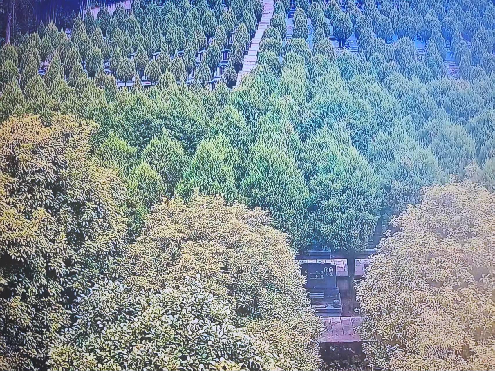 安吉县青山陵园园区图片