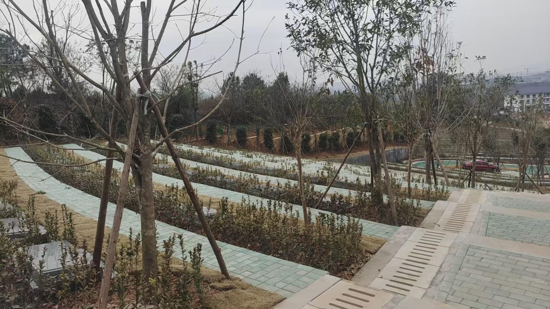 柯城区石梁镇级生态公墓园区图片