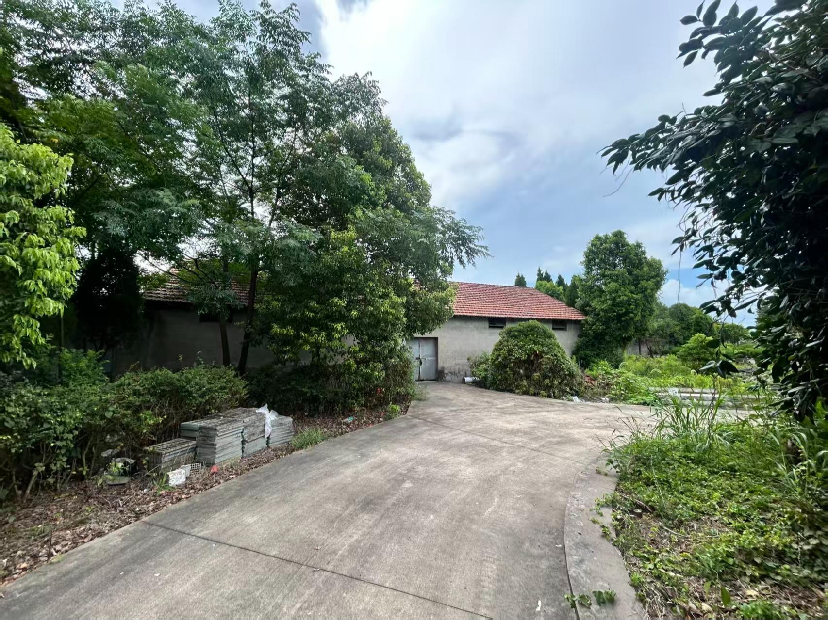 五丰村安息堂园区图片