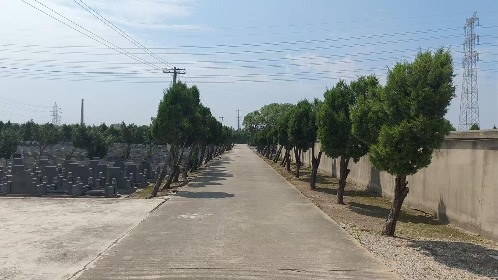 七丫公墓园区图片