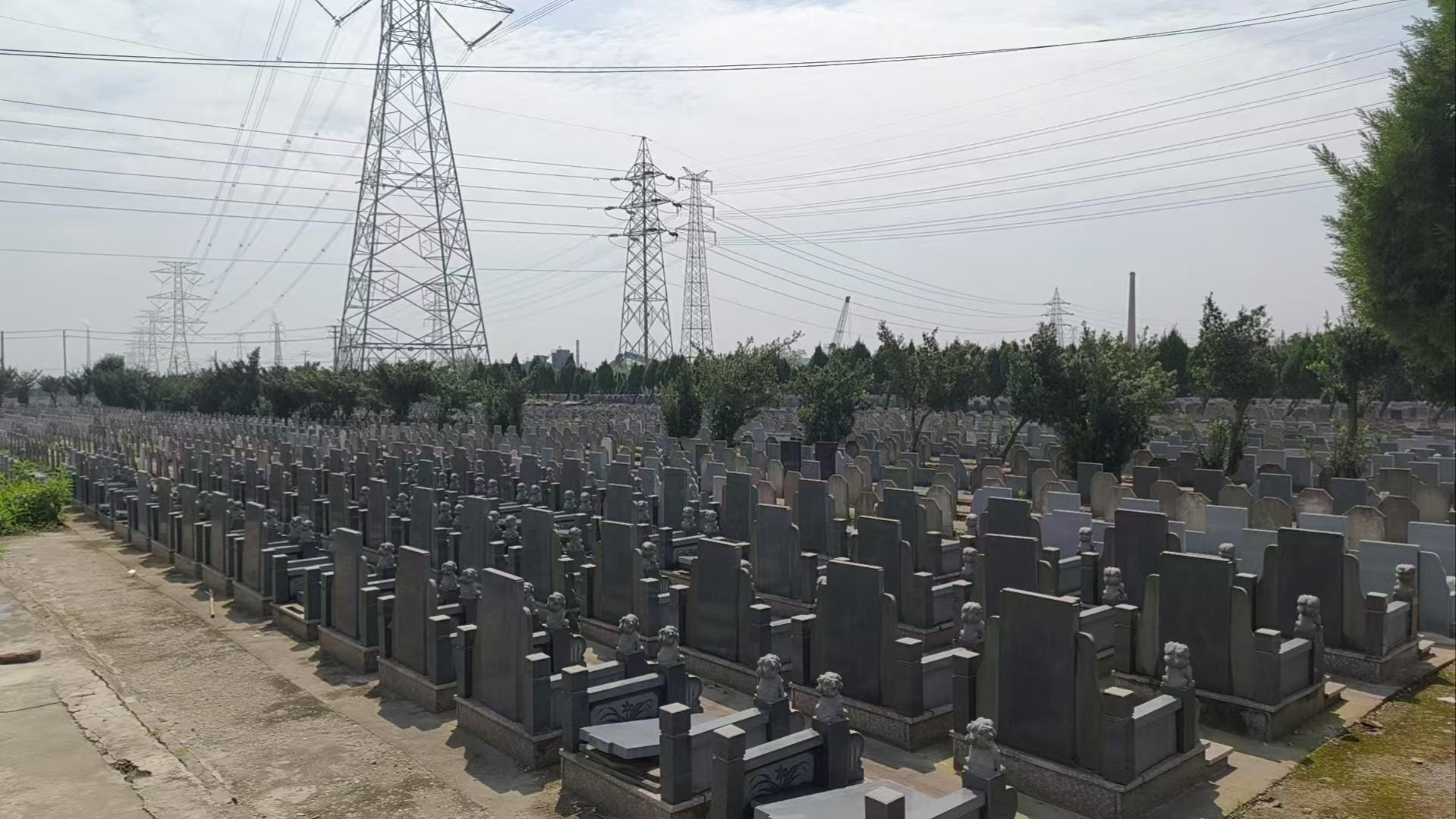 七丫公墓园区图片