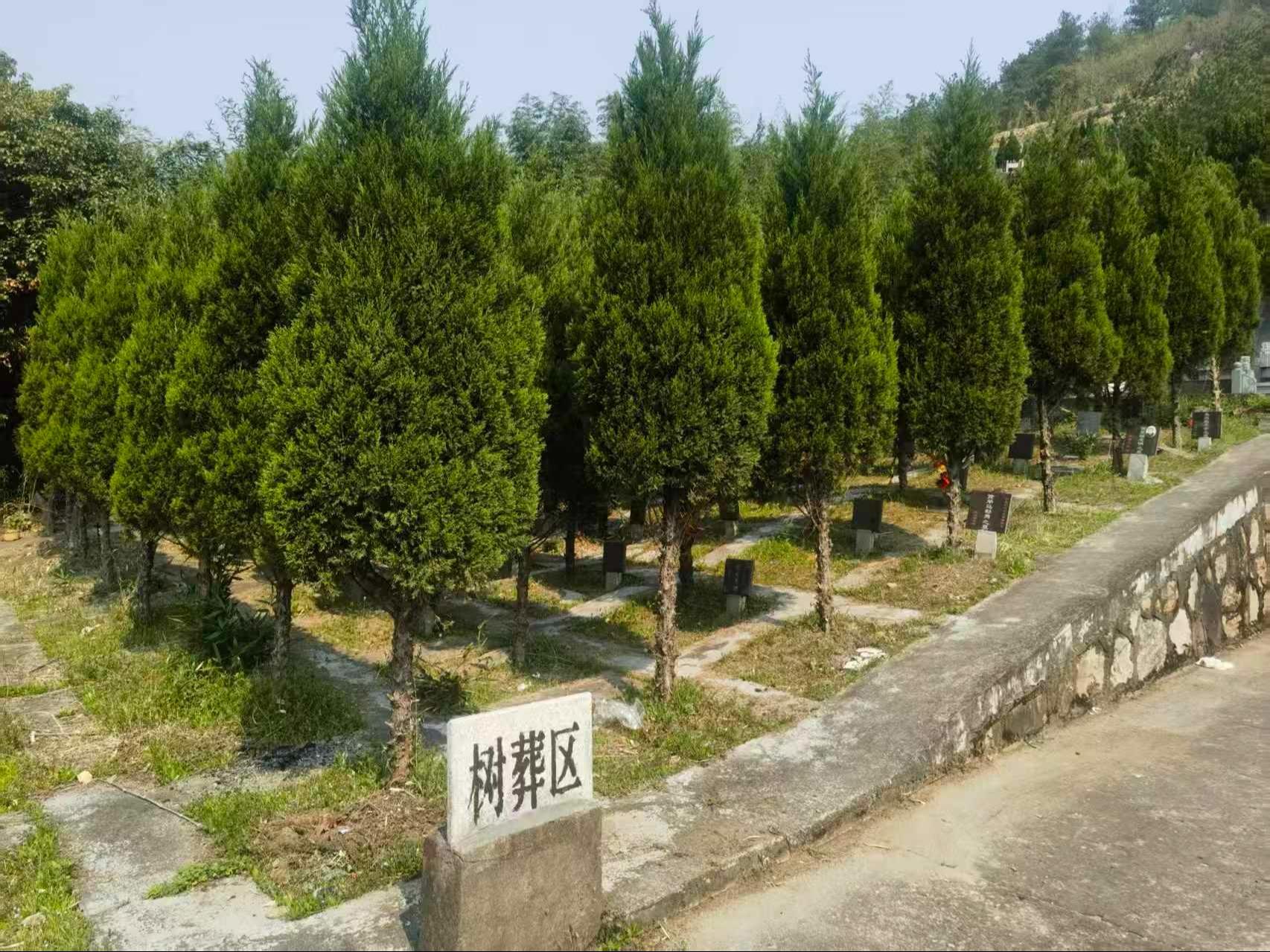 久安公墓园区图片