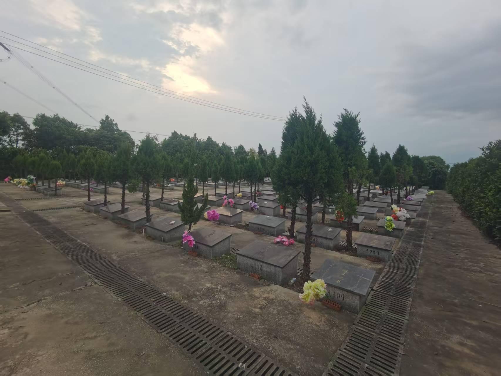 泰兴市珊瑚镇公益性公墓左庄村墓区园区图片