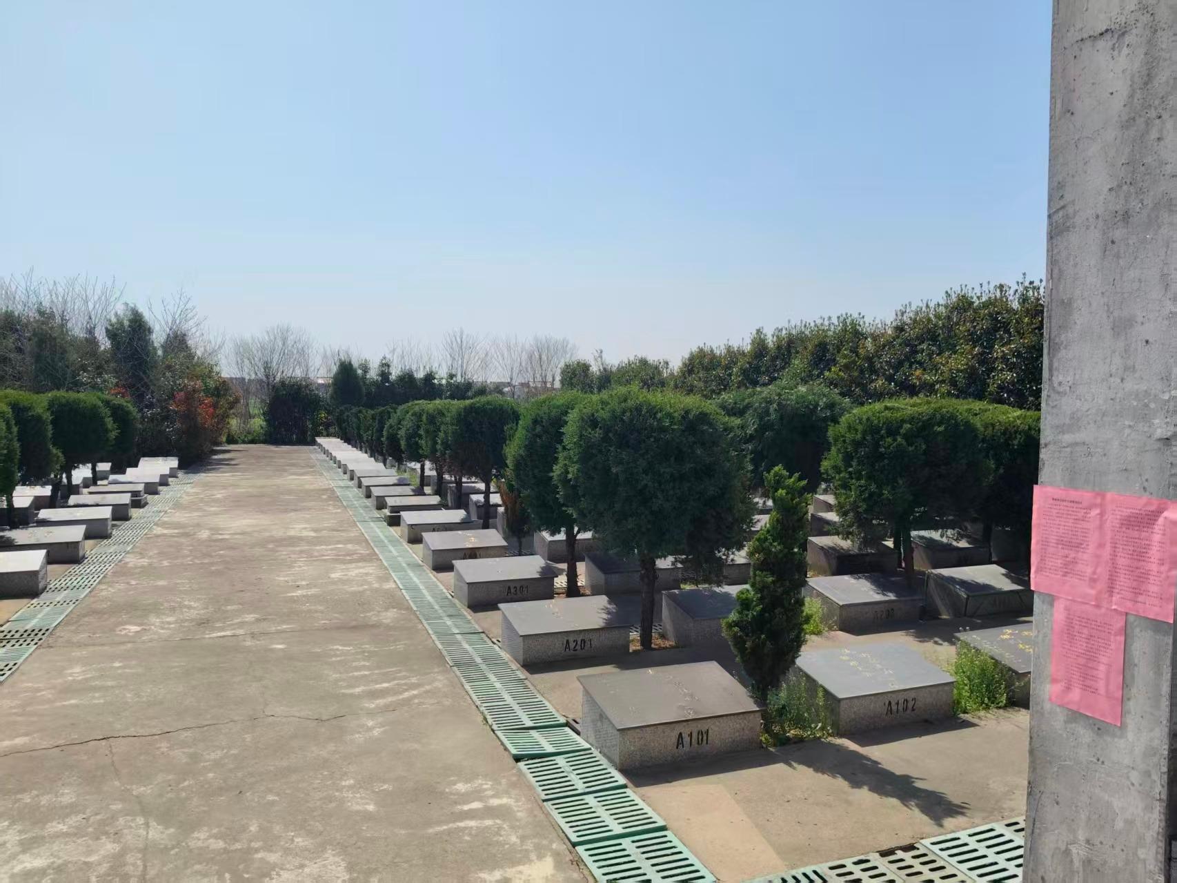 泰兴市珊瑚镇公益性公墓新桥村墓区园区图片