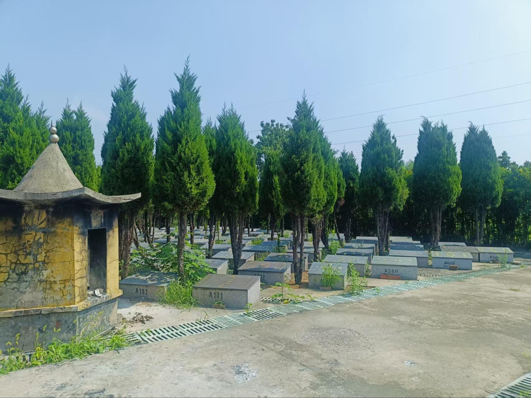 泰兴市珊瑚镇公益性公墓八达村墓区园区图片