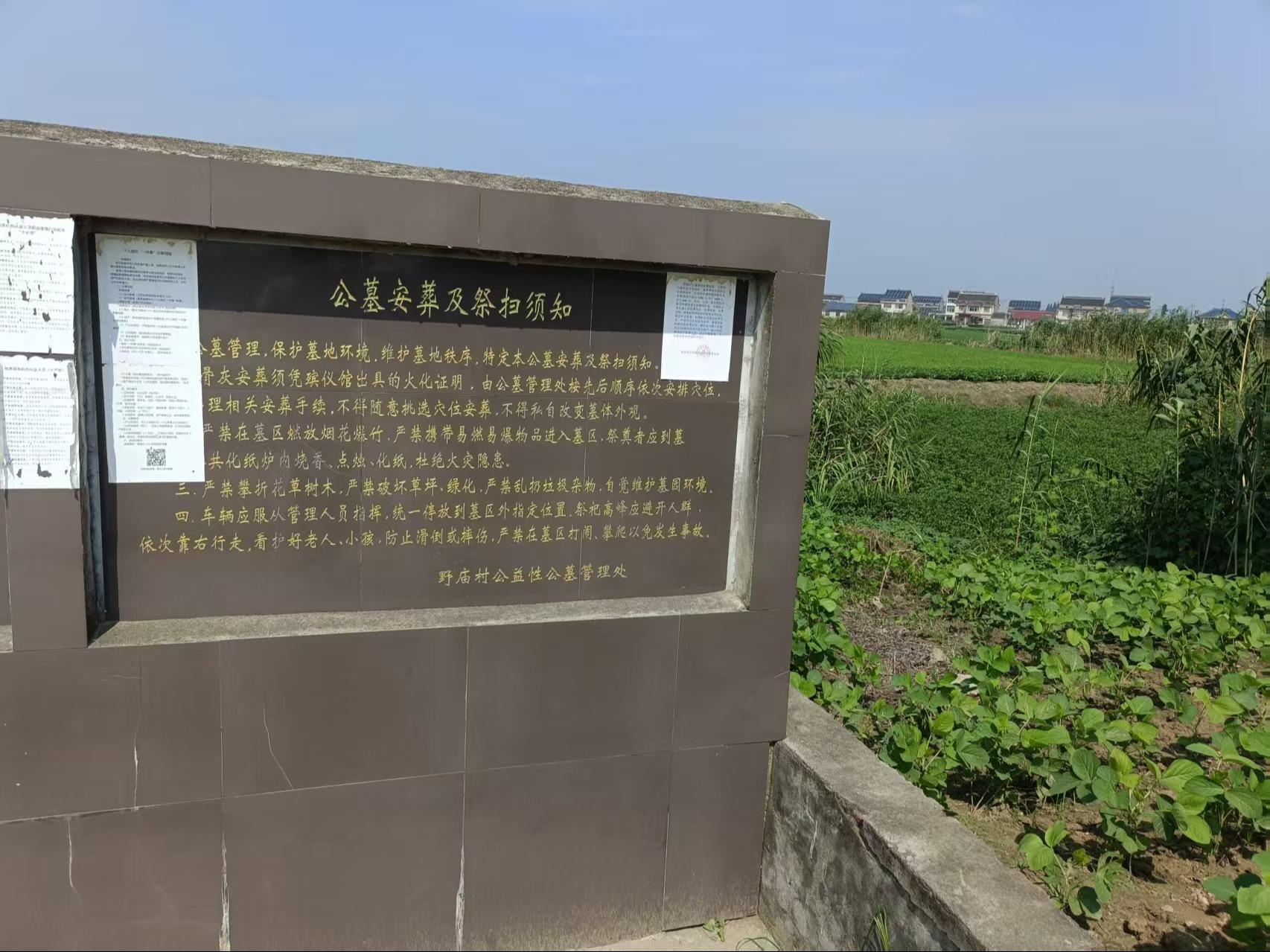 泰兴市分界镇公益性公墓野庙墓区园区图片