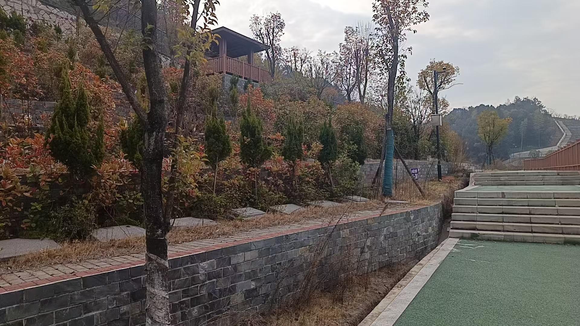 柯城区南片区骨灰堂园区图片