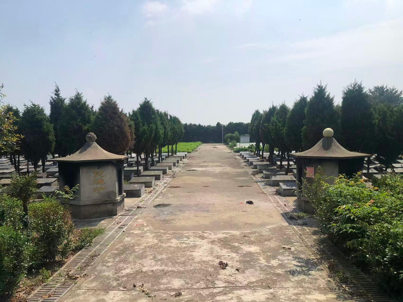 泰兴市珊瑚镇公益性公墓园区图片
