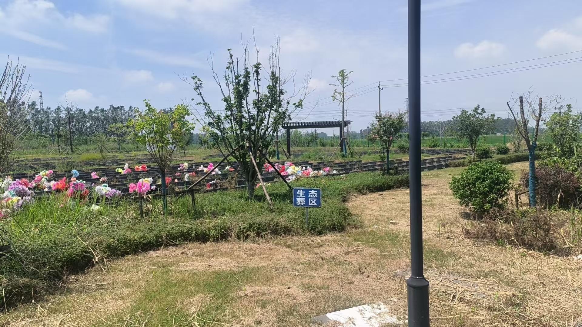 龙港公墓园区图片