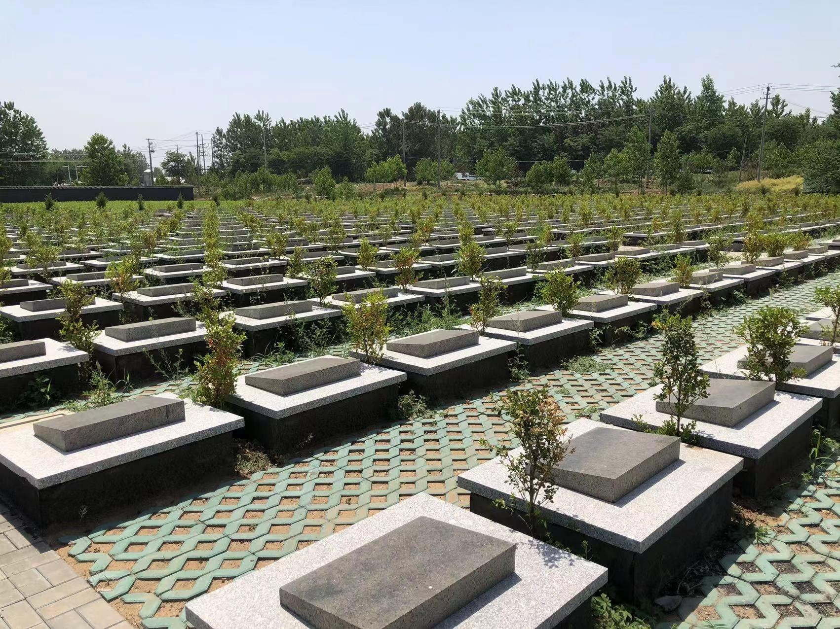 邳州市戴圩街道福寿园公益性公墓园区图片