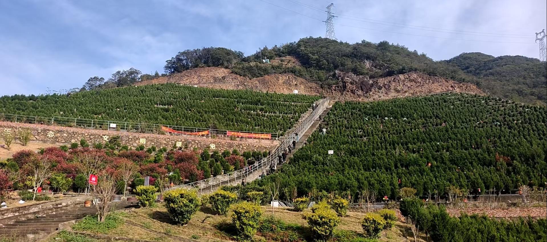 峰江白枫岙公墓园区图片