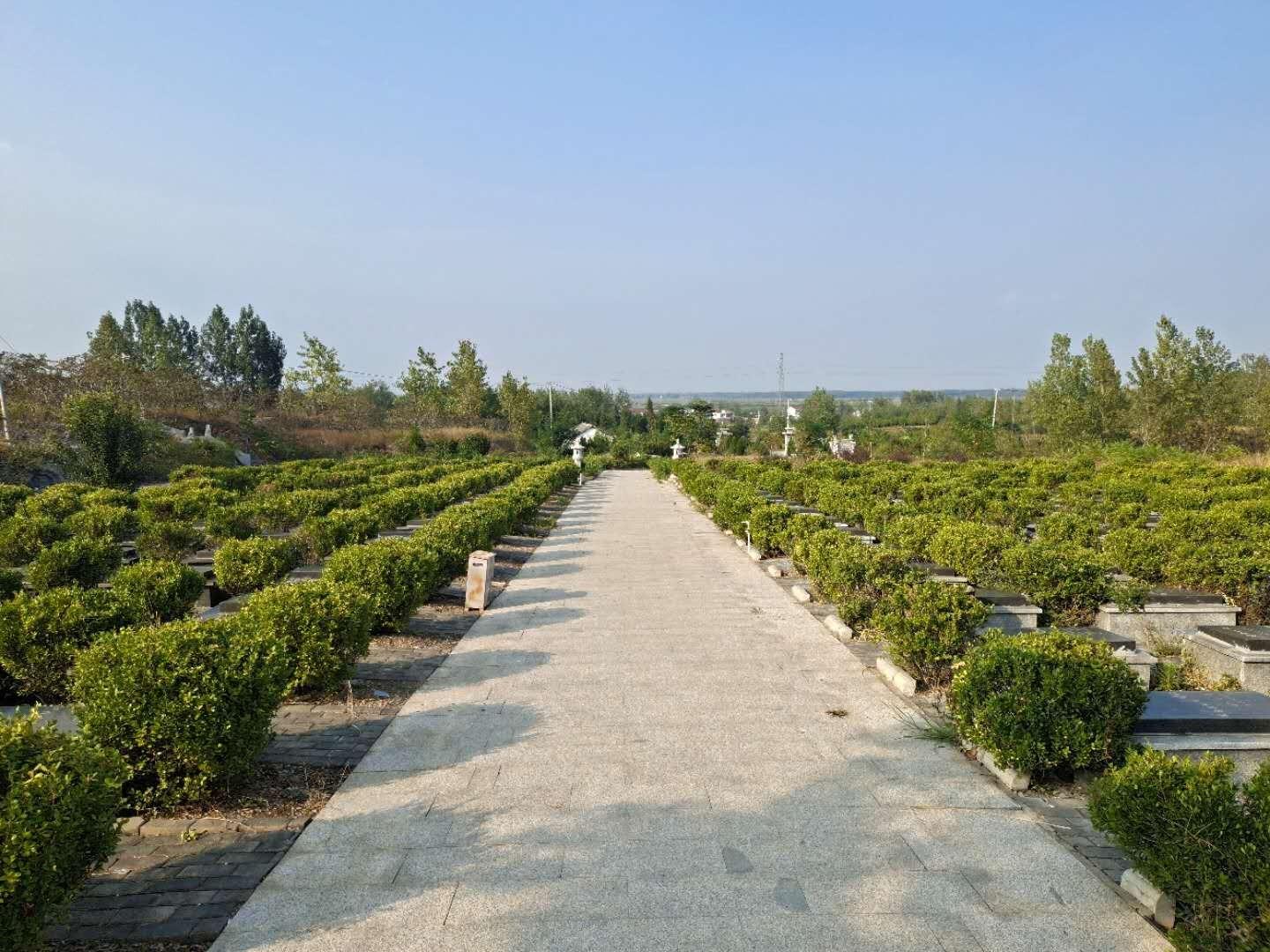 岚山镇公益性公墓园区图片