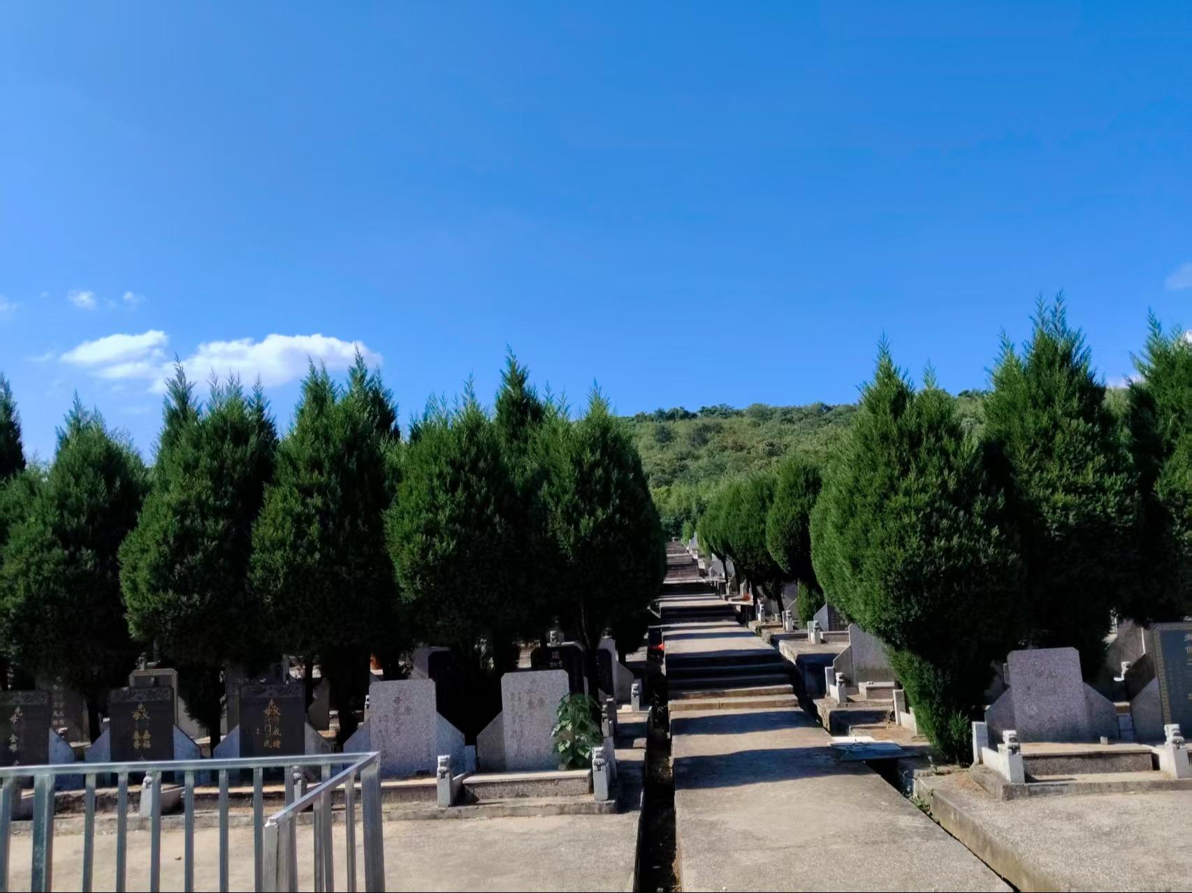 宜兴市张渚镇祝陵村小雷山公墓园区图片