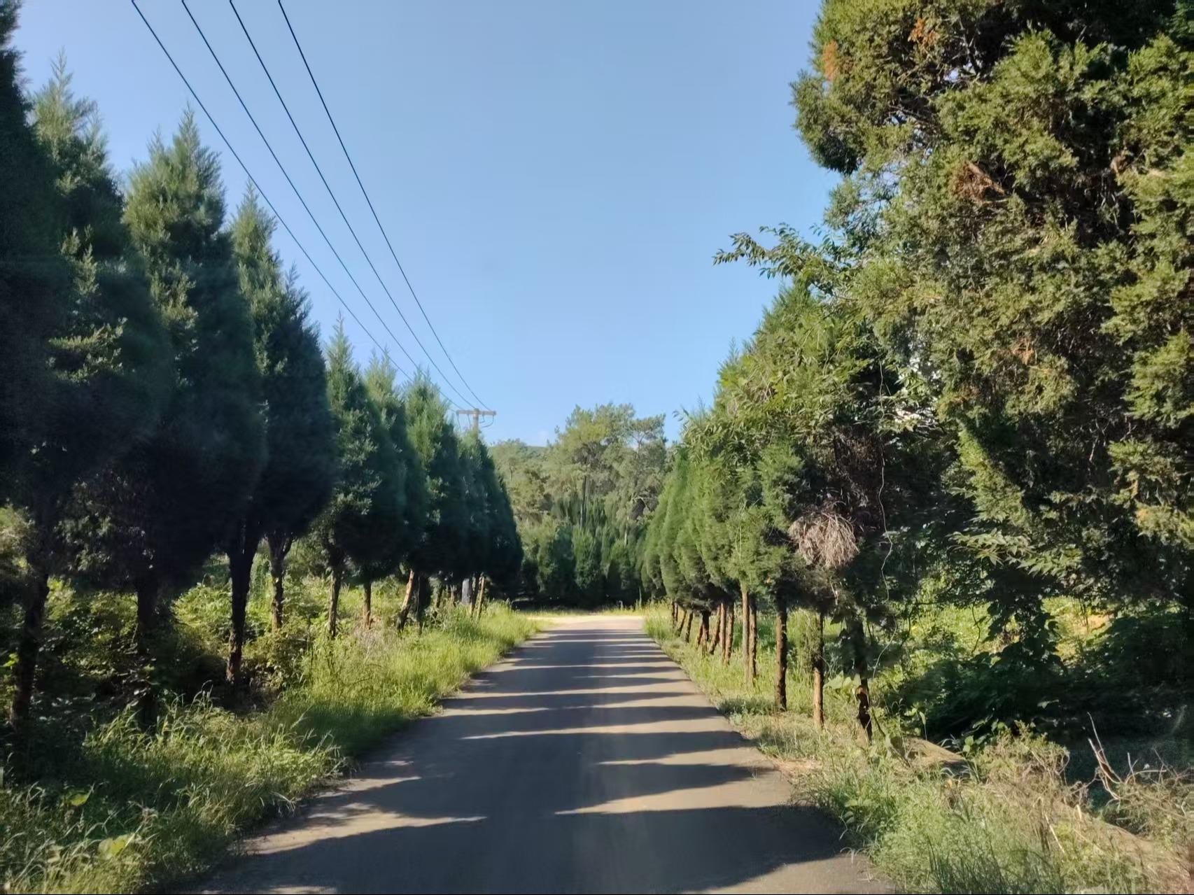 宜兴市张渚镇祝陵村小雷山公墓
