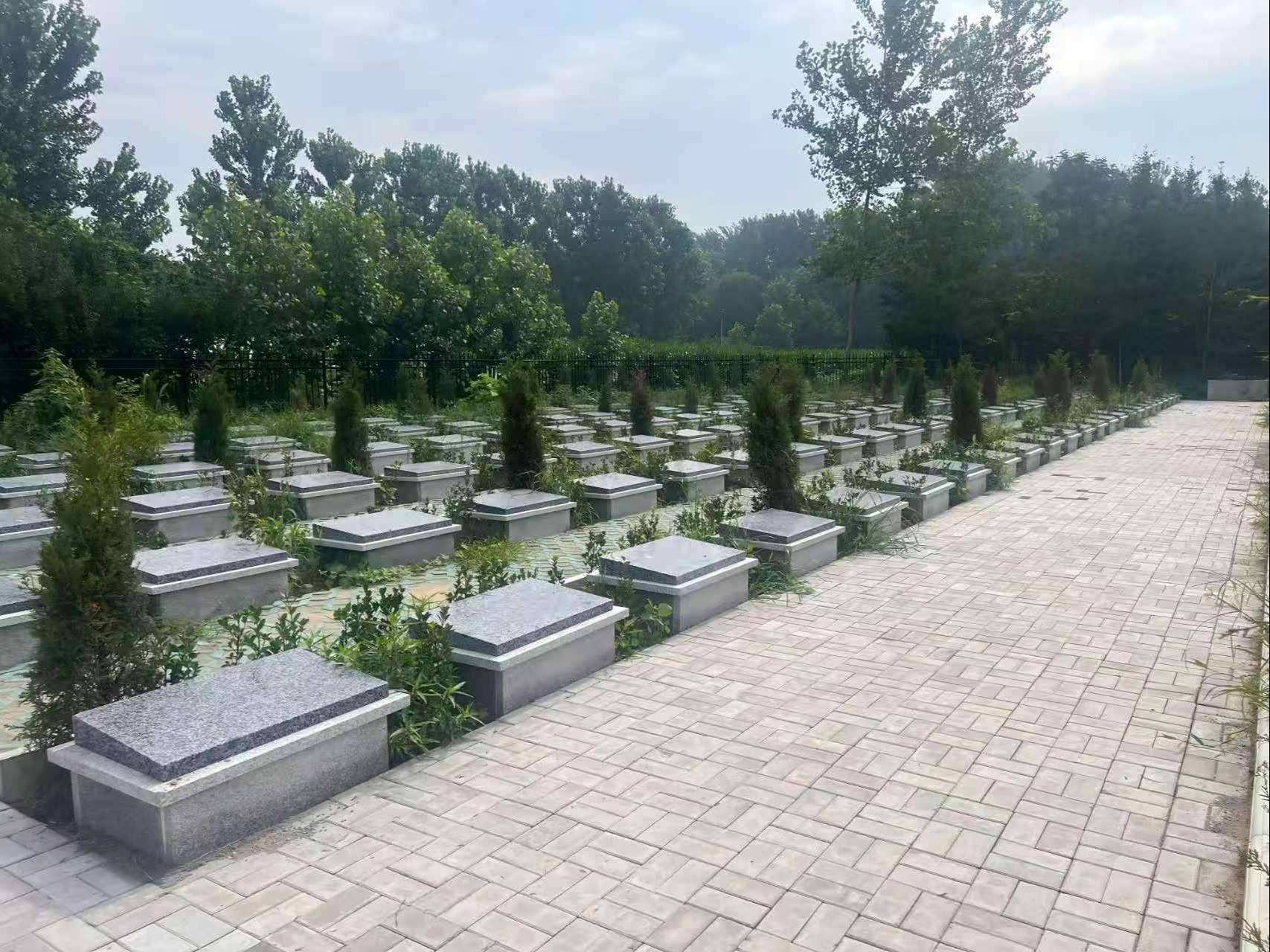 邳州市炮车街道公益性公墓园区图片