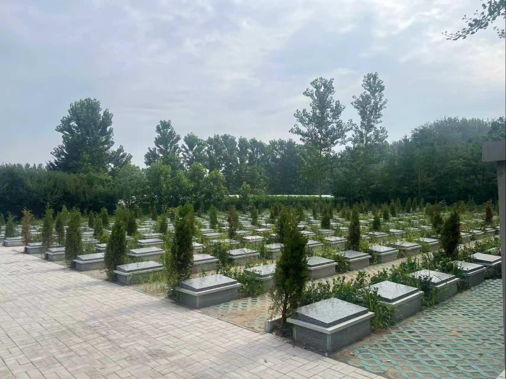 邳州市炮车街道公益性公墓园区图片