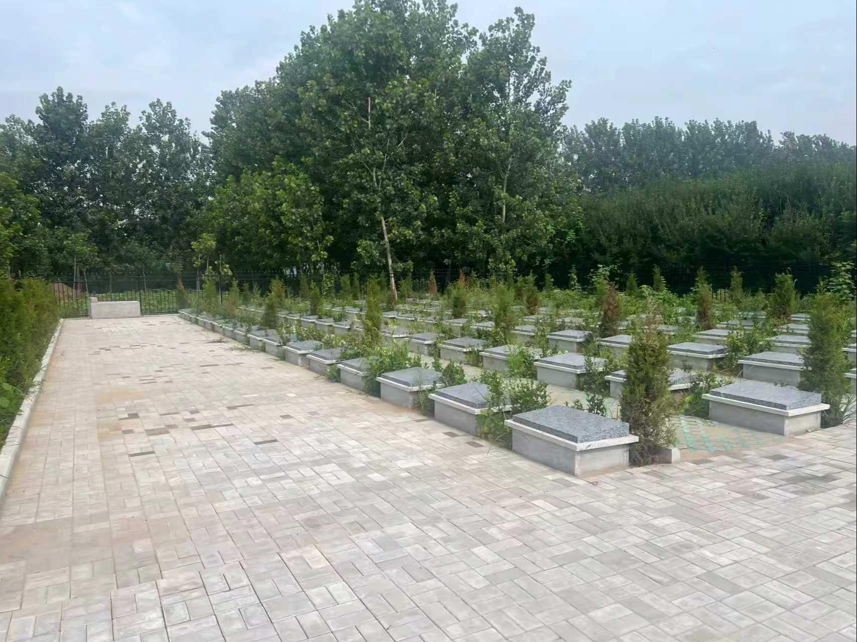 邳州市炮车街道公益性公墓园区图片