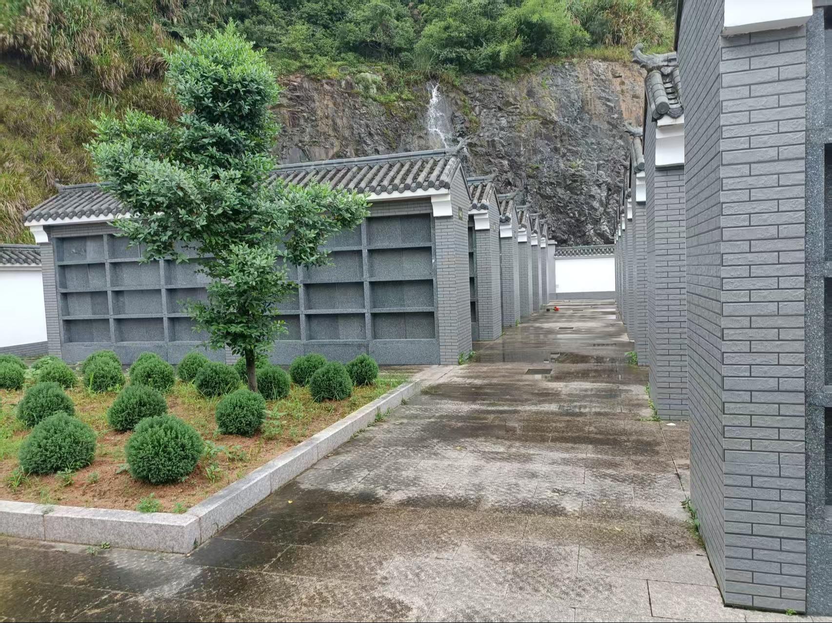 樟北村崇泽莹园园区图片