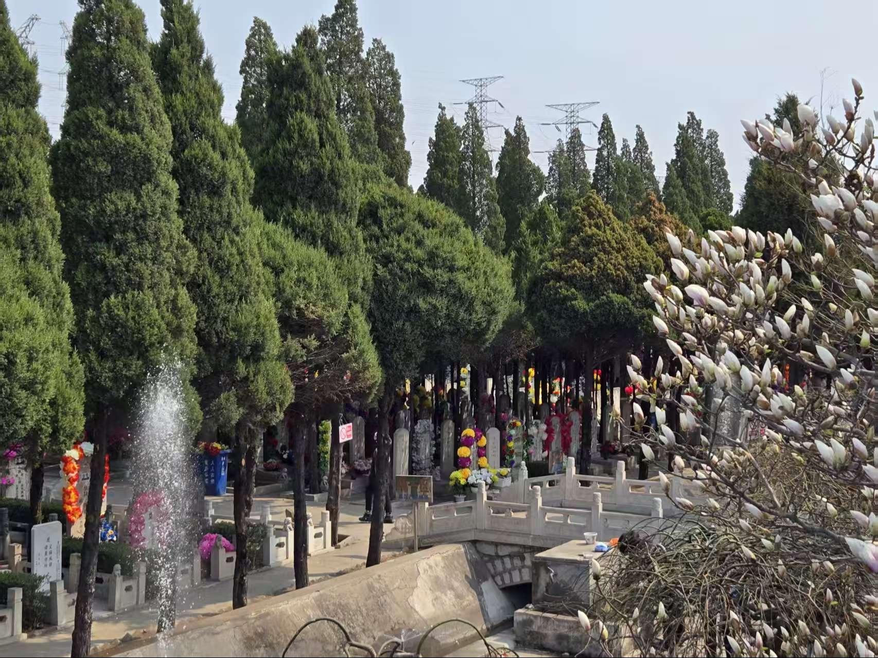 唐山陵园园区图片