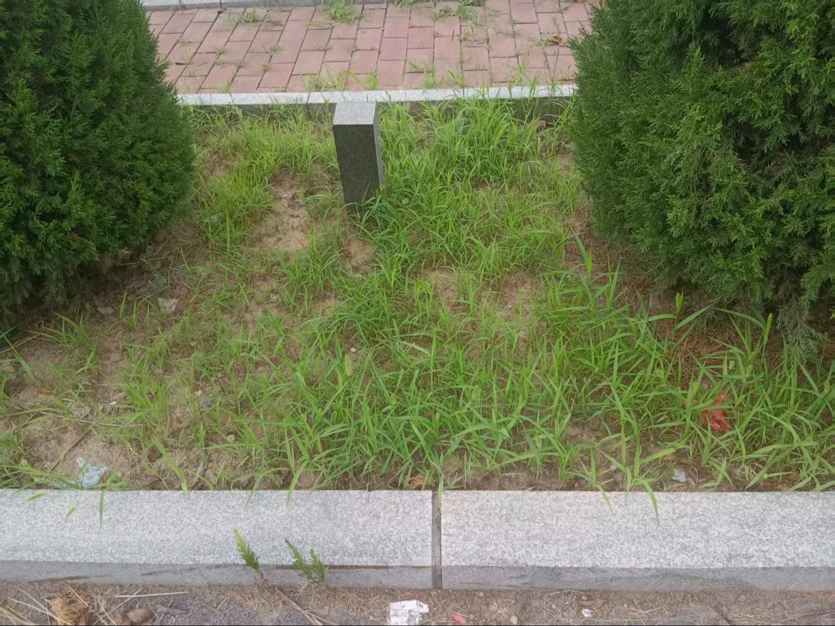 武陟县城市公益性公墓园区图片