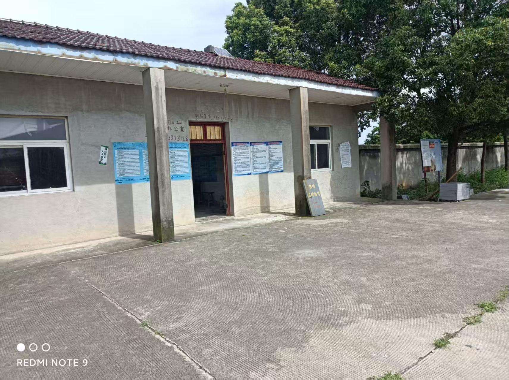 金牛湖街道朱加山公墓园区图片