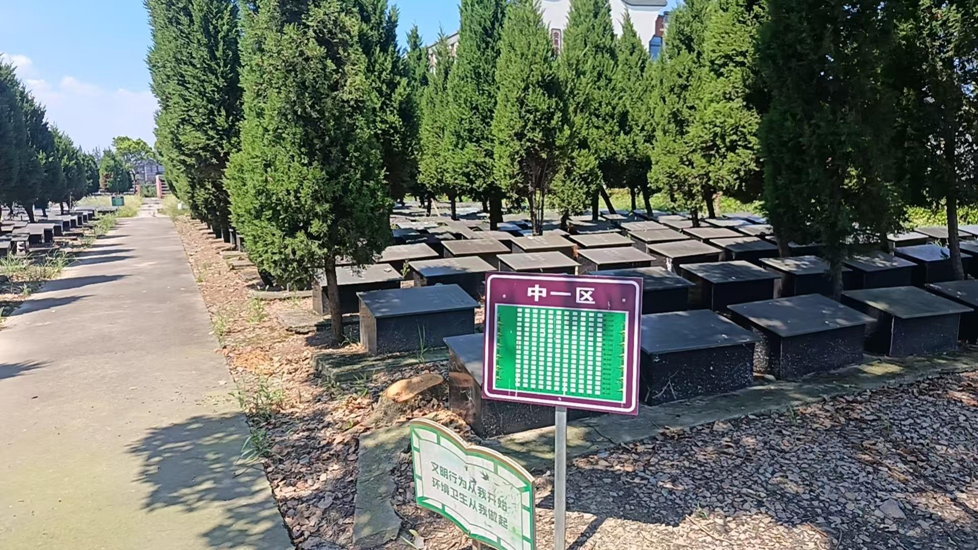 凤桥镇公墓园区图片