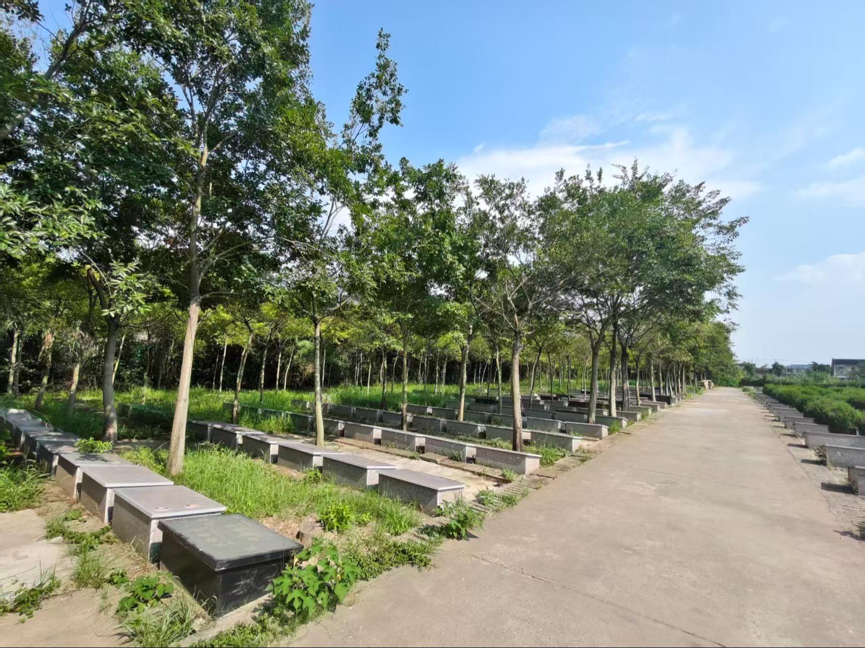 黄桥镇公益性公墓野向墓区园区图片