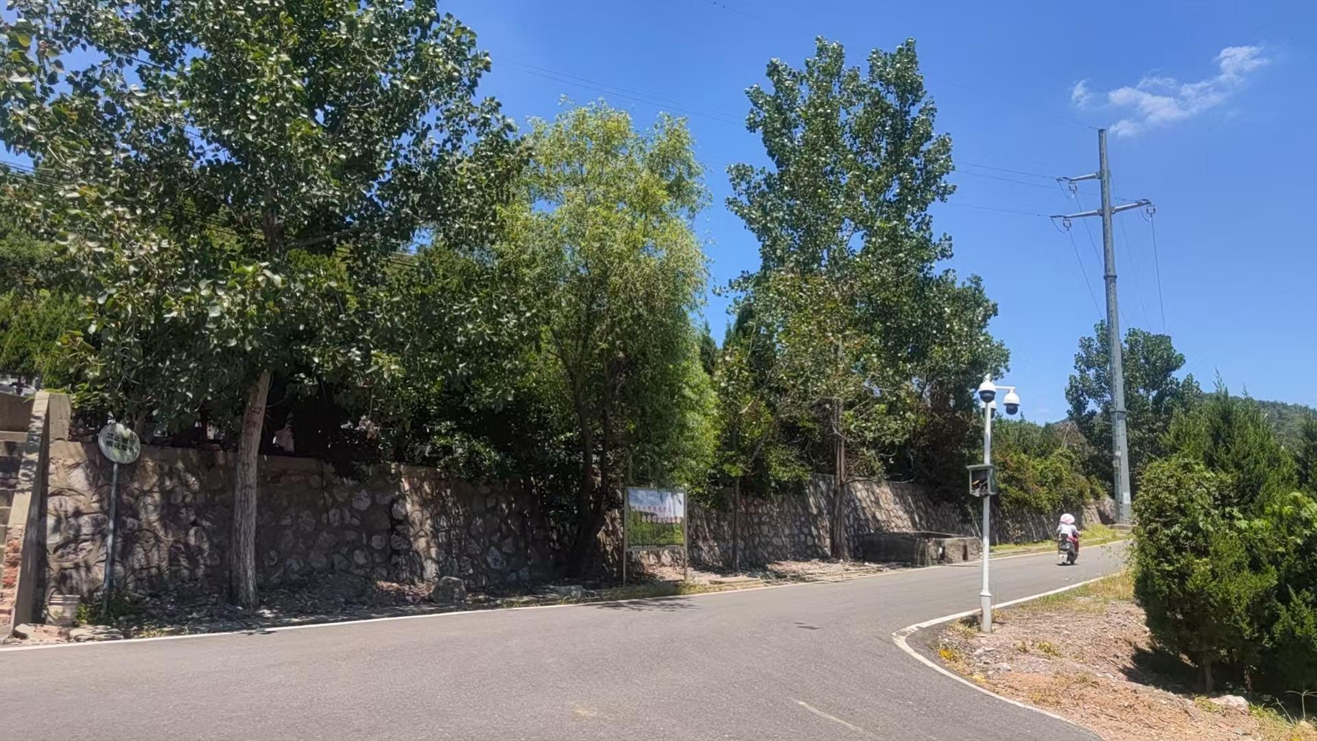江宁区东山街道长安公墓园区图片