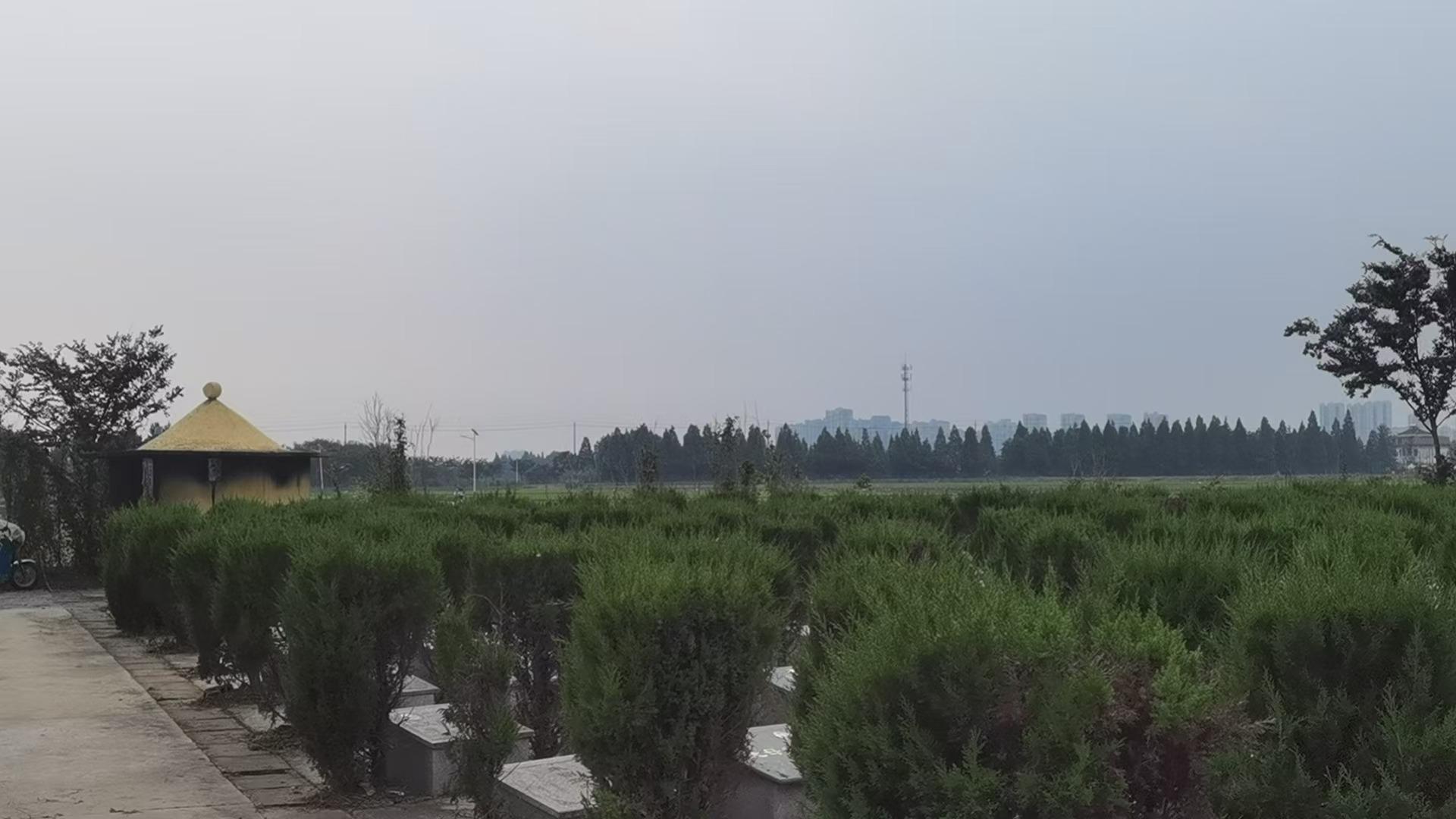 黄桥镇公益性公墓大张墓区园区图片