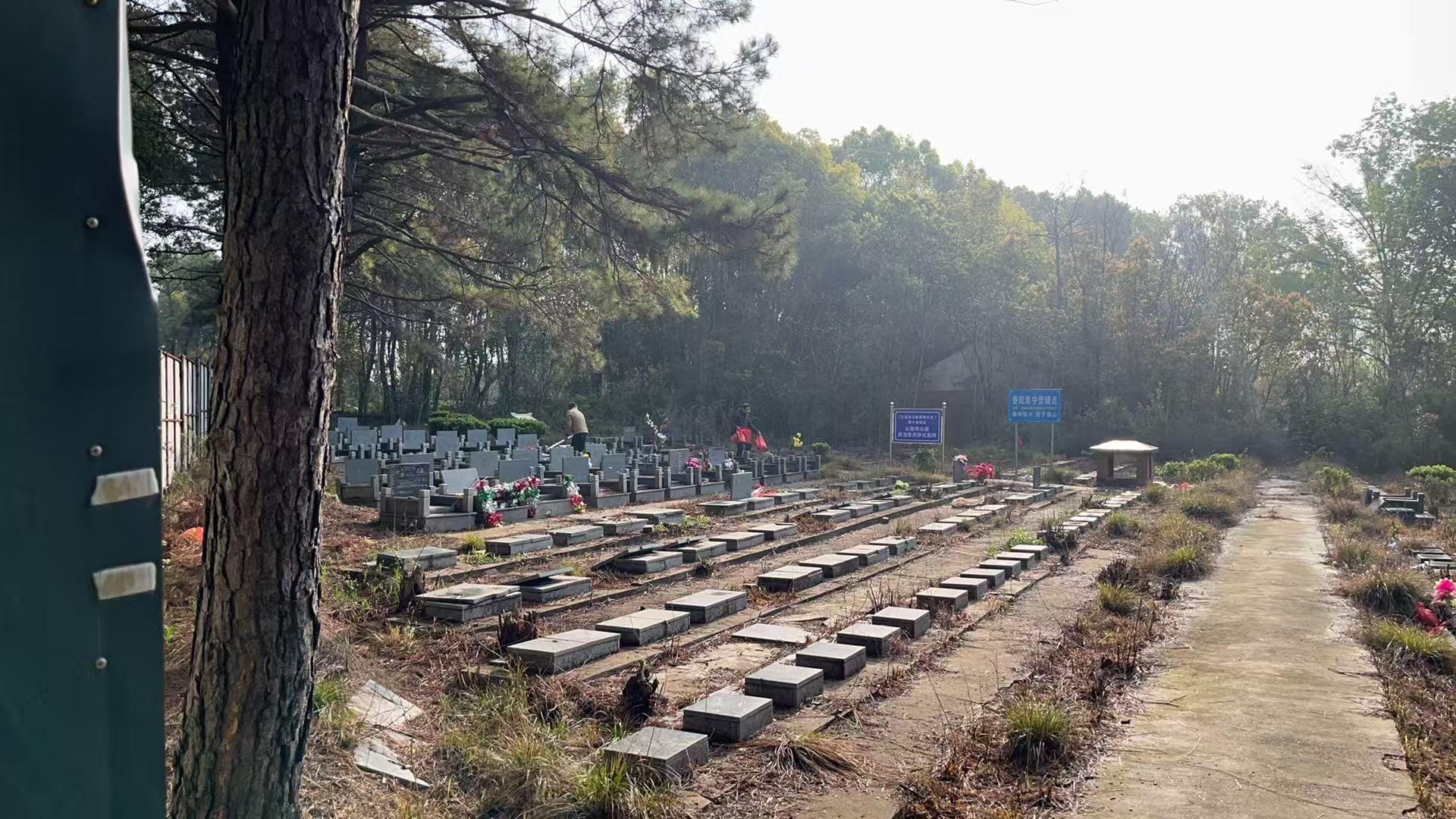 南京市高淳区东坝街道青山村苗圃公墓园区图片