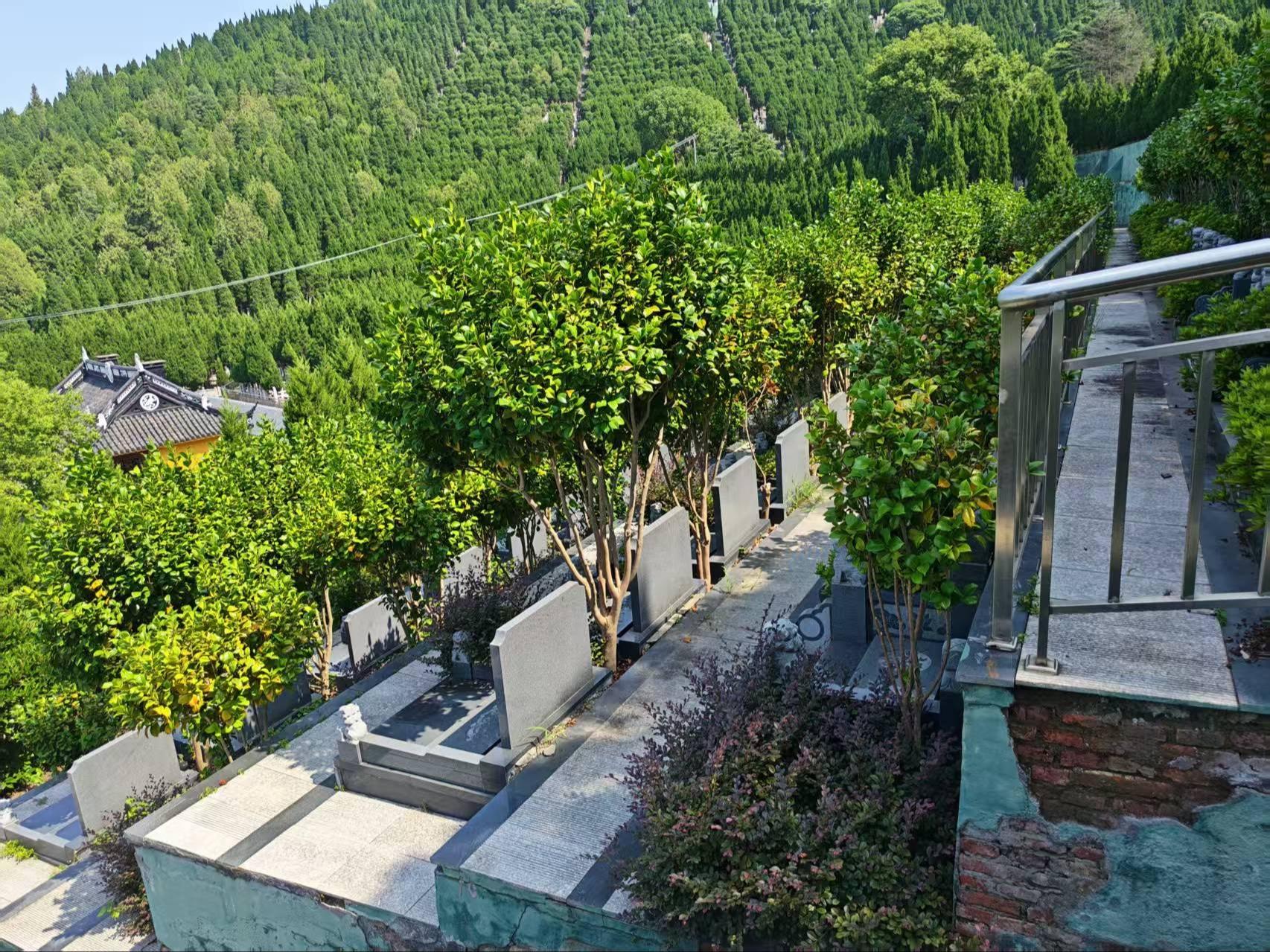 观音公墓园区图片