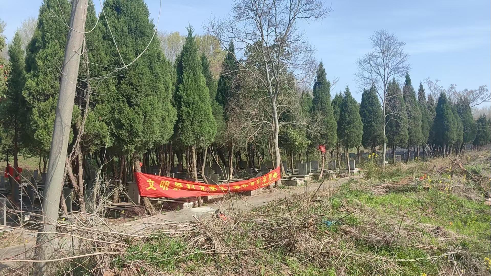 谷里街道九龙山墓园园区图片